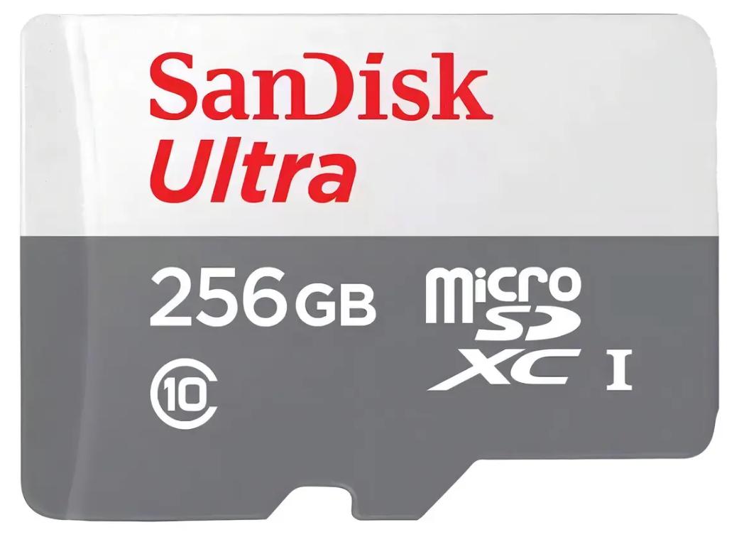 produto-14487-cartao-micro-sd-256gb-p-seguranca